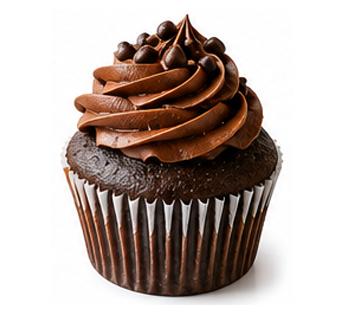 Gourmet Dark Chocolate Cupcake